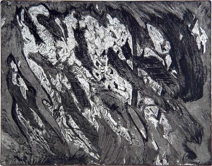 Renato Liermann: Hirschblatt. Kaltnadelradierung, Aquatinta/Büttenkarton (1988) Renato Liermann: Hirschblatt. Kaltnadelradierung, Aquatinta/Büttenkarton (1988)